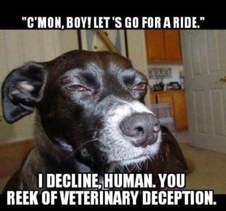 FB_IMG_1757018827807.jpg