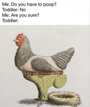 FB_IMG_1757083475693.jpg