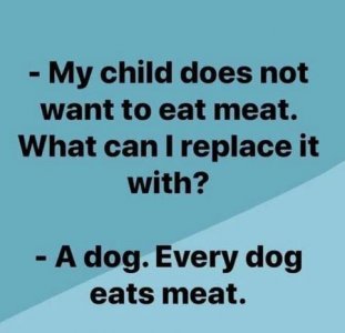 dogmeat.JPG