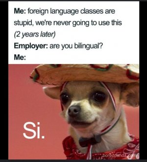L.jpg