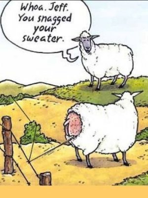 sheepsweater.JPG