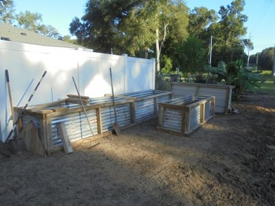 3rd planter.JPG