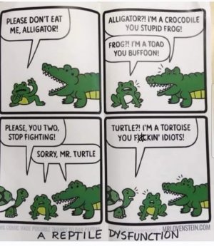 a funny animal joke.jpg