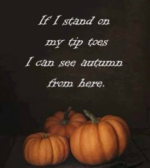 fall4.jpg
