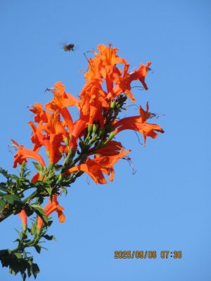 IMG_1269.JPG
