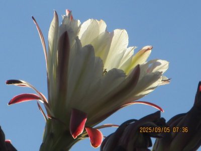 IMG_1224.JPG