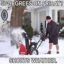 shorts weather.jpeg
