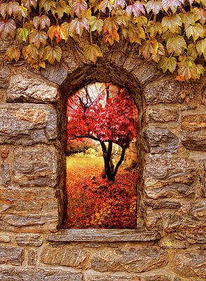 window-to-autumn-jessica-jenney.jpg