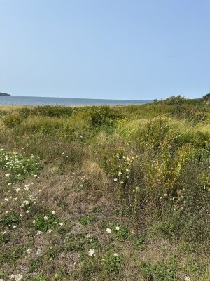 IMG_0366.jpeg