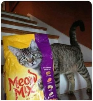 cat food bag.jpg