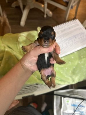 IMG_5102.jpeg