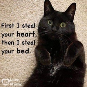 eabdd3cac8b923cf3eee8bedda3ca8b3.jpg