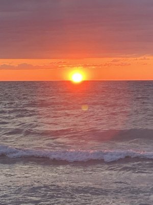 IMG_8175.jpeg