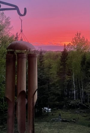 IMG_0580.jpeg