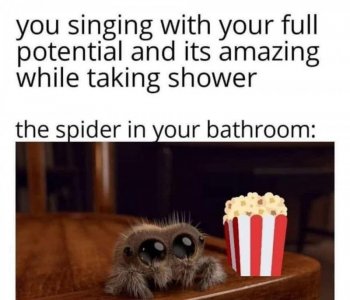 FB_IMG_1757180731061.jpg