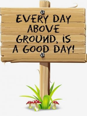 A good day.jpg