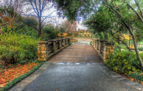 Damp Footbridge.jpg