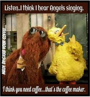 IMG_2640.jpeg