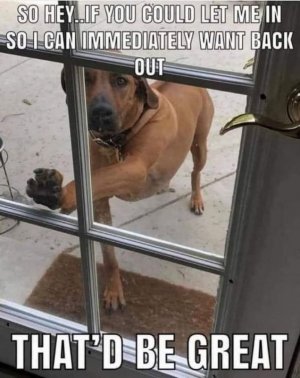 FB_IMG_1757248839113.jpg