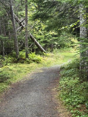 IMG_0389.jpeg