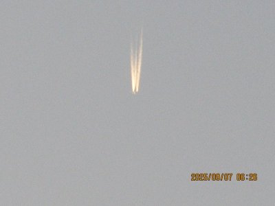 IMG_1282.JPG