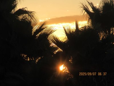 IMG_1299.JPG