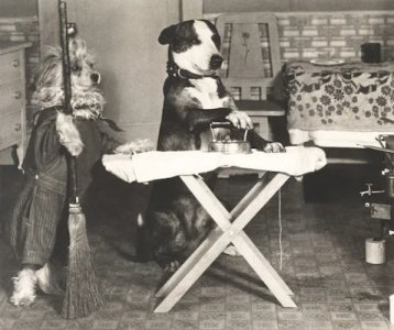 Ironing @.jpg