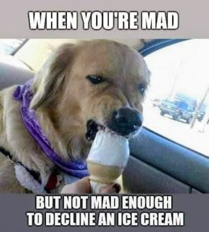 FB_IMG_1680434389673~2.jpg
