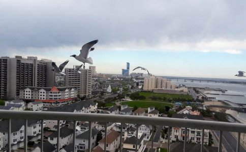 20190516_093741.jpg