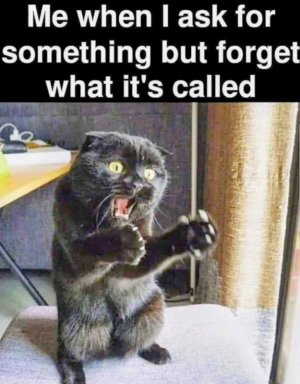 FB_IMG_1680559165019~2.jpg