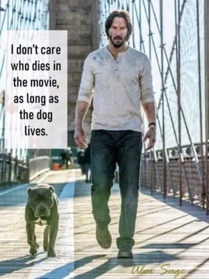 FB_IMG_1680560407554~2.jpg