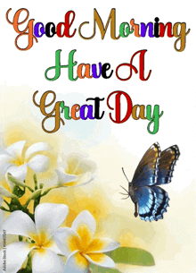 morning-good-morning.gif