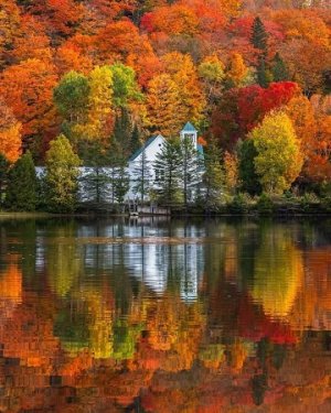 Joe's pond.jpg