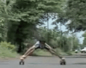 giphy.gif