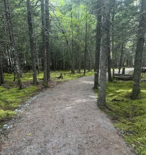 IMG_0394.jpeg