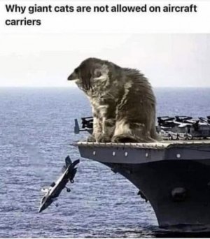 1000006463.jpg
