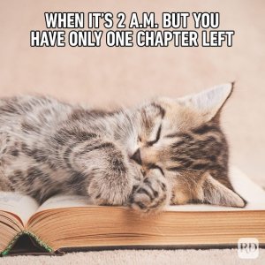 Hilarious-Cat-Memes-9.jpg