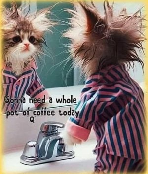 a wholepotcoffee.jpg