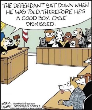 a good boy dog cartoon.jpg