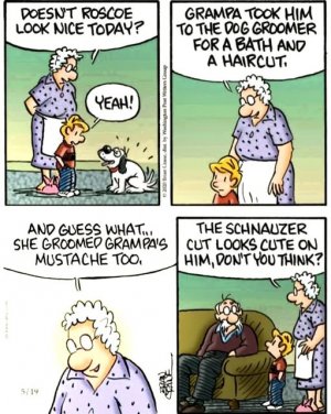a funny cartoon.jpg