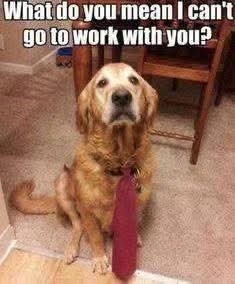 FB_IMG_1757376229478.jpg