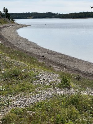 IMG_0407.jpeg