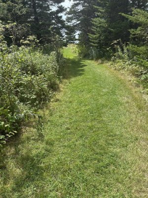 IMG_0415.jpeg