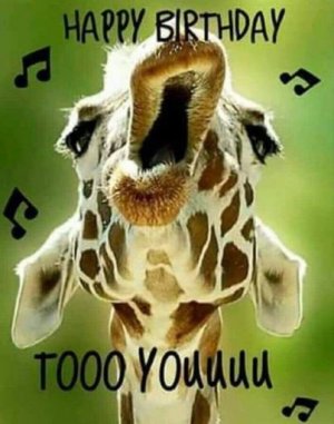giraffesing.JPG