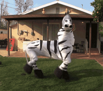 tumblr_500fd899f83913ae516b7597d32479f7_aa0e3504_640.gif