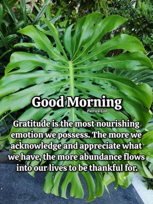 gratitude self help meme.jpg