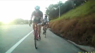59cAqE6.gif