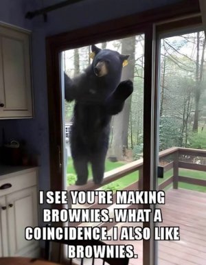 FB_IMG_1757528404965.jpg