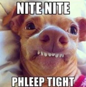 pleeptight.JPG