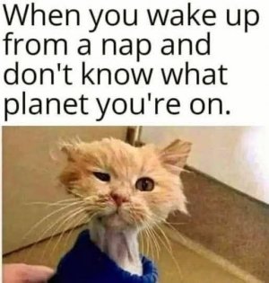 FB_IMG_1757593070100.jpg